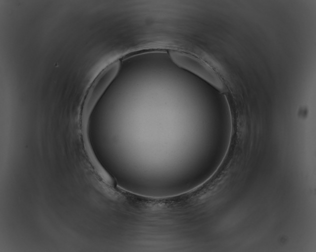 X0000091661230200708301432