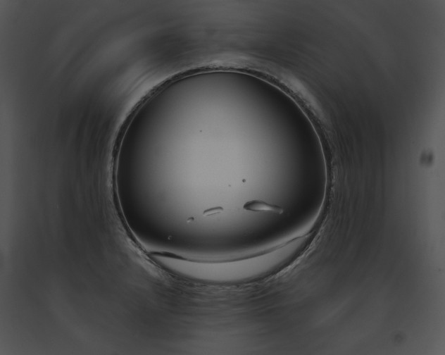 X0000091661232200708301432