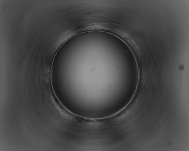 X0000091661233200708301432