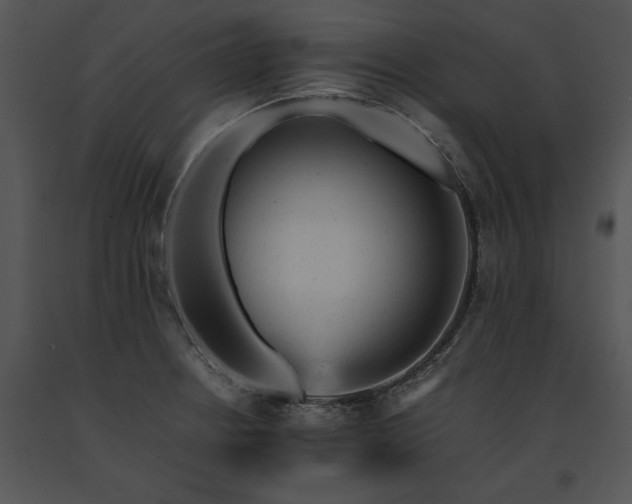 X0000091661234200708301432