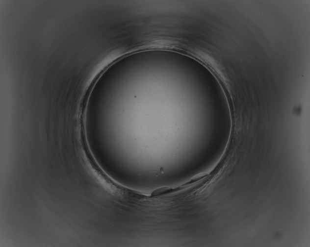 X0000091661235200708301432
