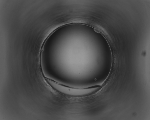 X0000091661236200708301432