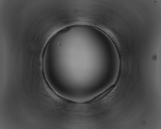 X0000091661238200708301432