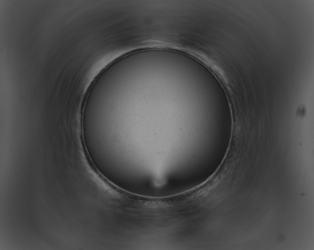 X0000091661239200708301432