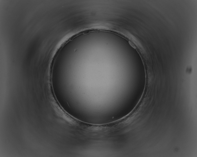 X0000091661240200708301432