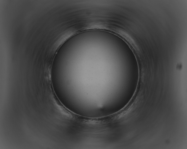 X0000091661241200708301432