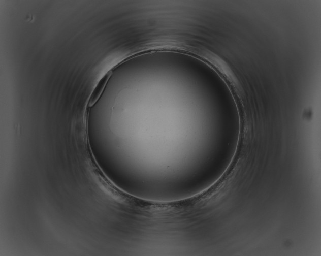 X0000091661242200708301432