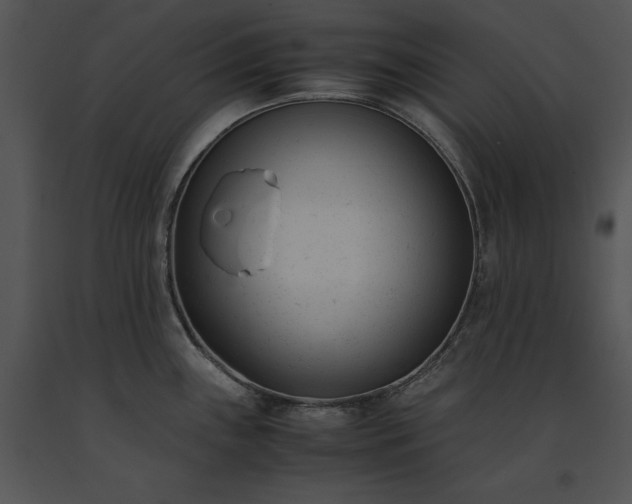 X0000091661243200708301432