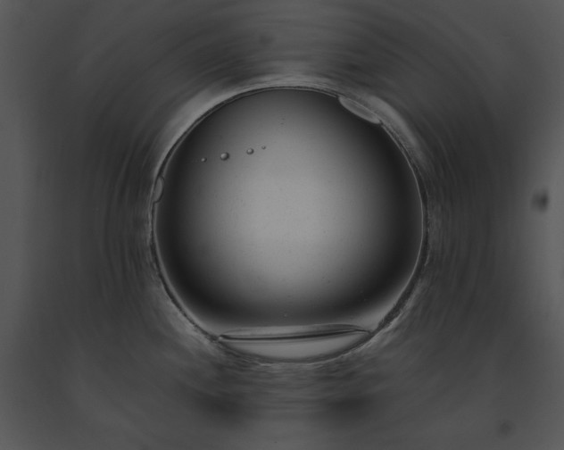 X0000091661244200708301432