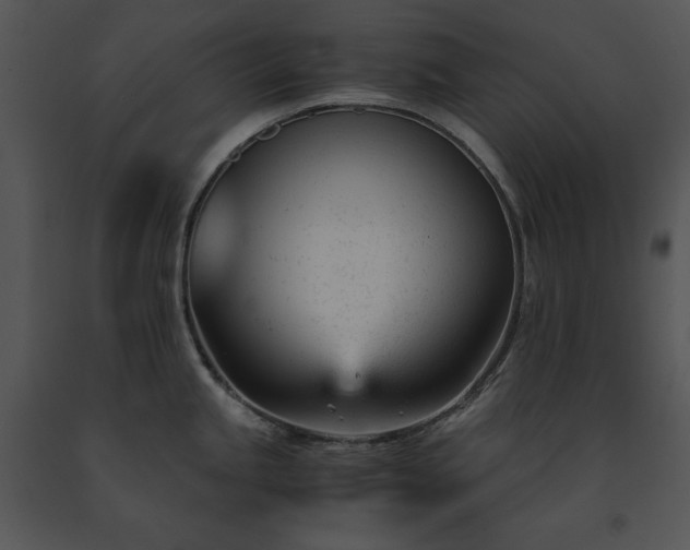 X0000091661245200708301432