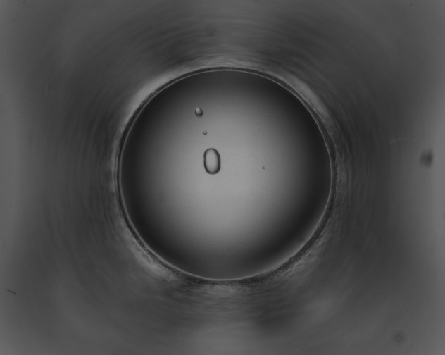 X0000091661246200708301432