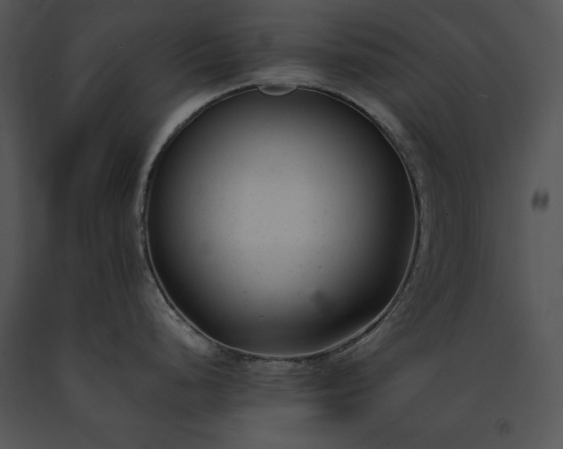 X0000091661248200708301432