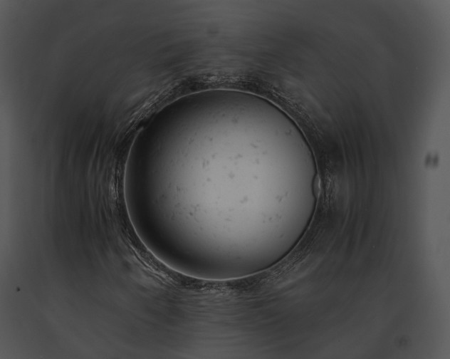 X0000091661250200708301431