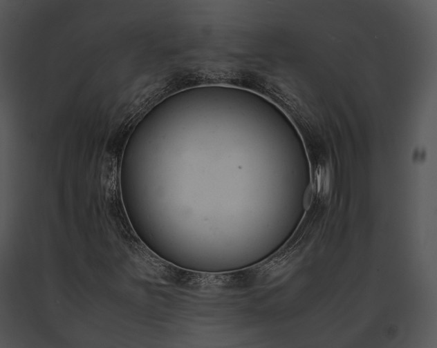 X0000091661251200708301431