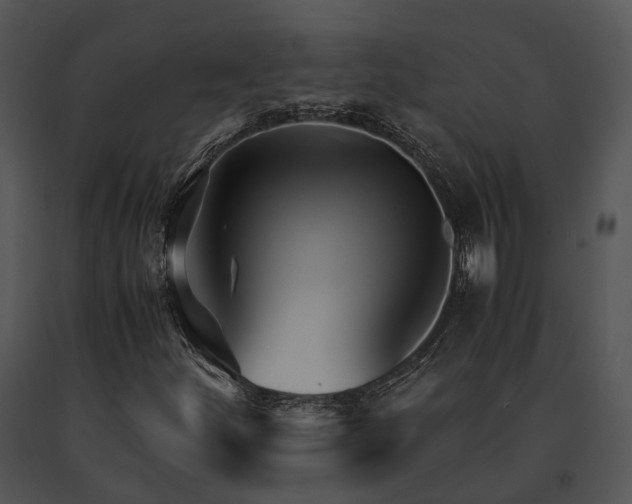 X0000091661252200708301431