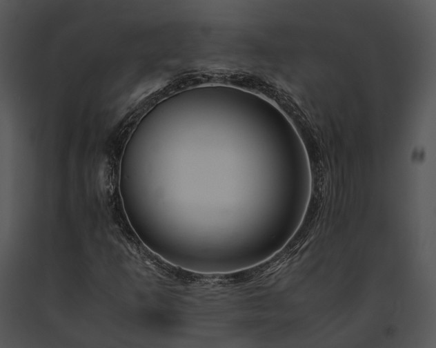 X0000091661253200708301431