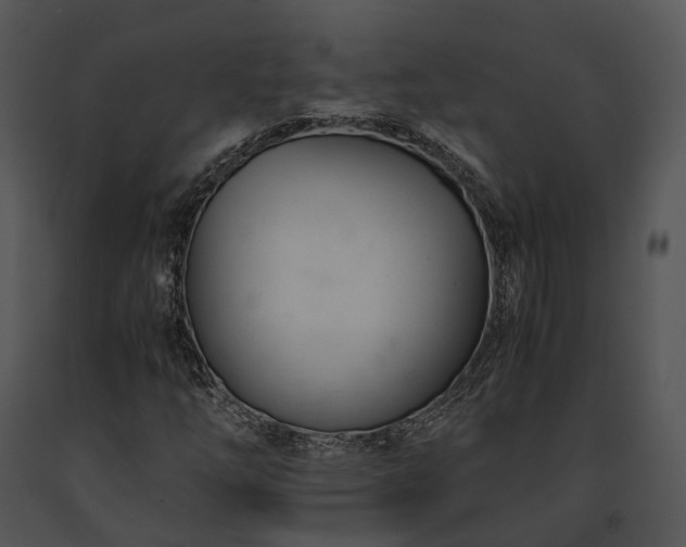 X0000091661254200708301431