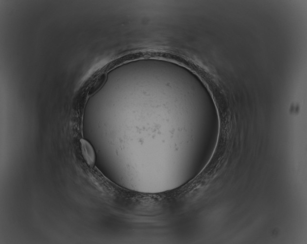 X0000091661255200708301431