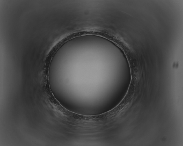 X0000091661256200708301431