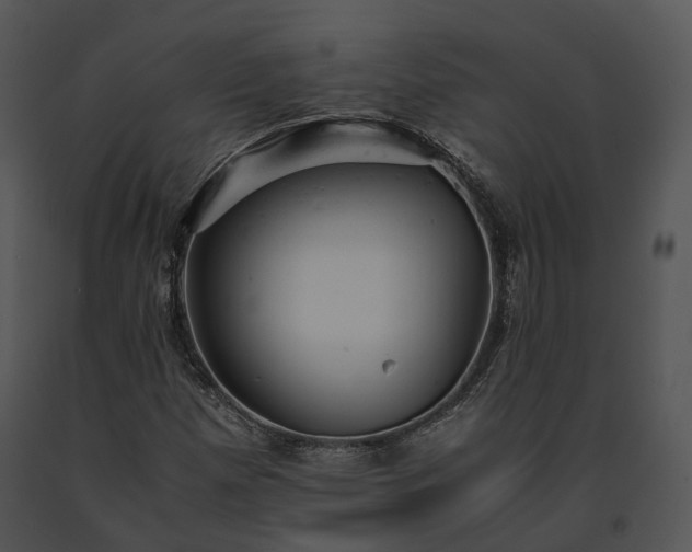 X0000091661257200708301431