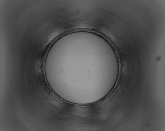 X0000091661258200708301431