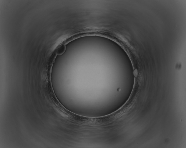 X0000091661259200708301431