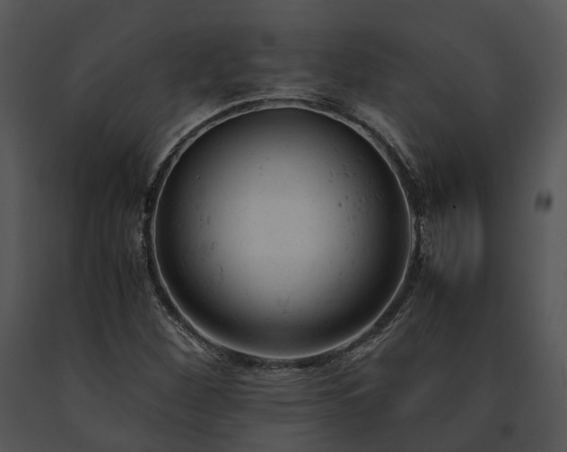 X0000091661260200708301431
