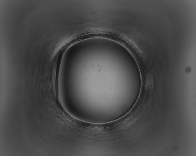 X0000091661261200708301431