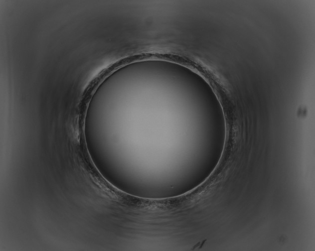 X0000091661262200708301431