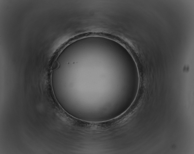 X0000091661263200708301431