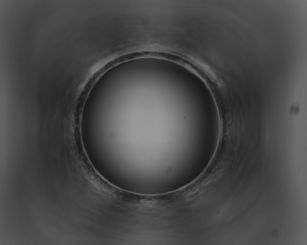 X0000091661264200708301431