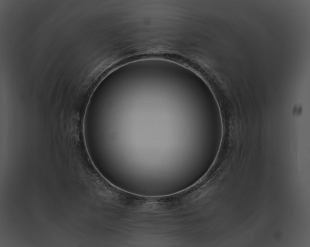 X0000091661265200708301431