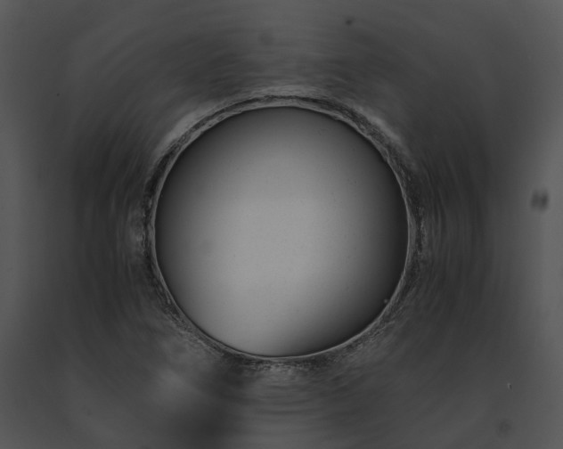 X0000091661266200708301431