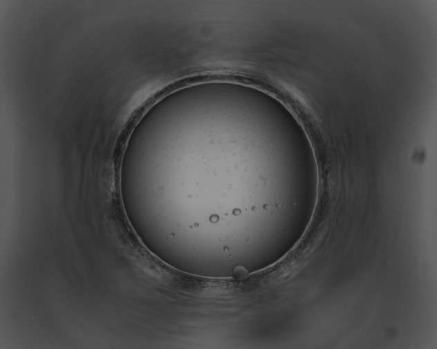 X0000091661267200708301431