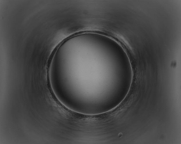X0000091661268200708301431