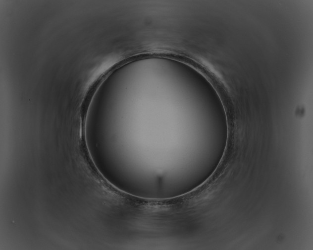 X0000091661269200708301431