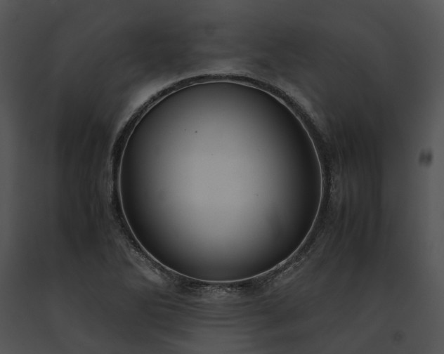 X0000091661270200708301431