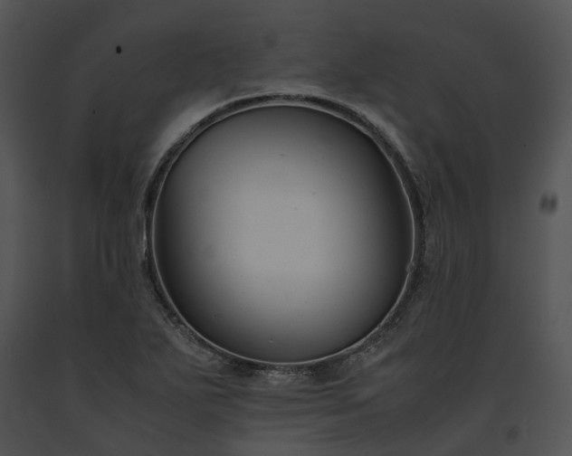 X0000091661271200708301431