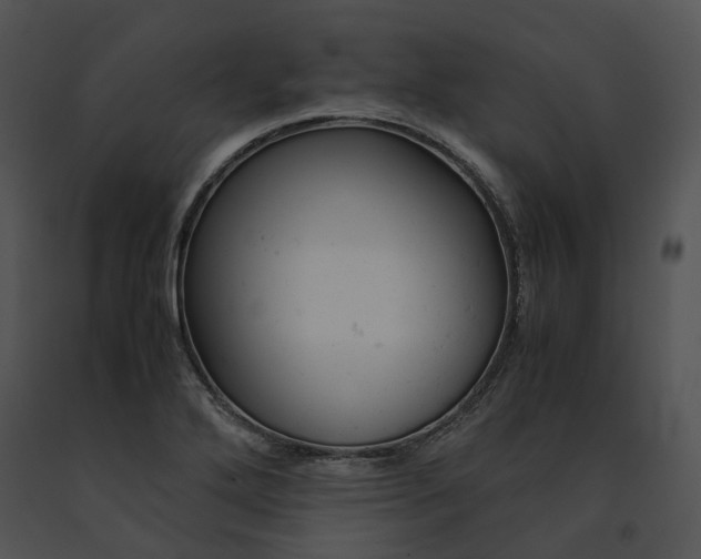 X0000091661272200708301431