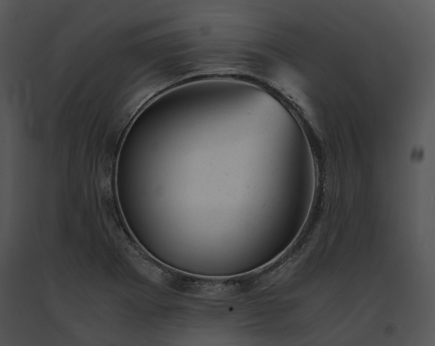 X0000091661273200708301431