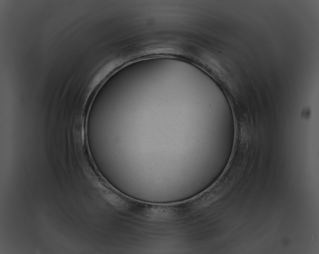 X0000091661274200708301431