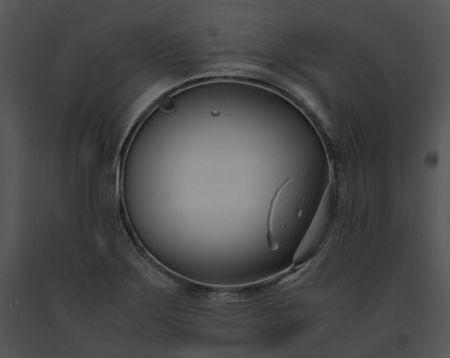 X0000091661275200708301431