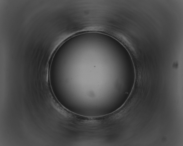 X0000091661276200708301431