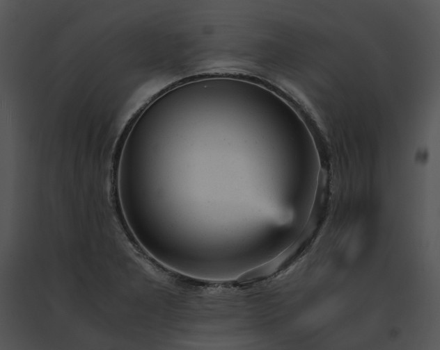 X0000091661277200708301431