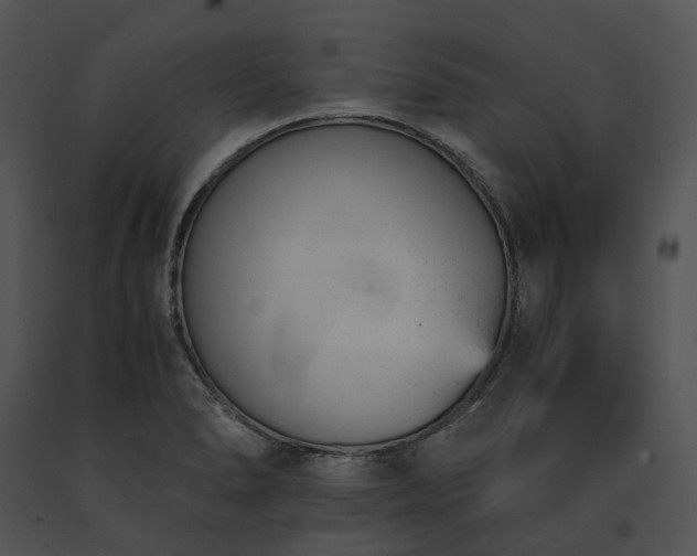 X0000091661278200708301431