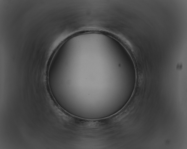 X0000091661279200708301431