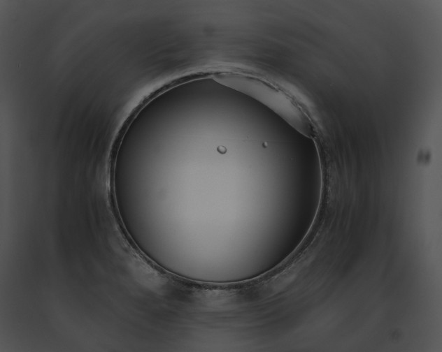 X0000091661280200708301431