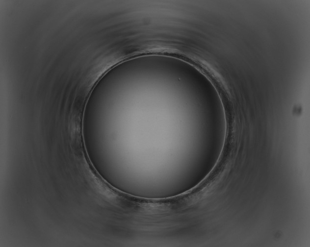 X0000091661281200708301431