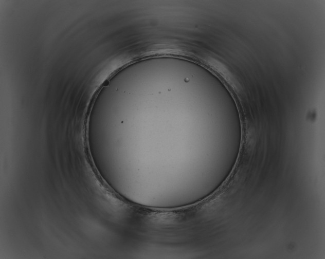 X0000091661282200708301431