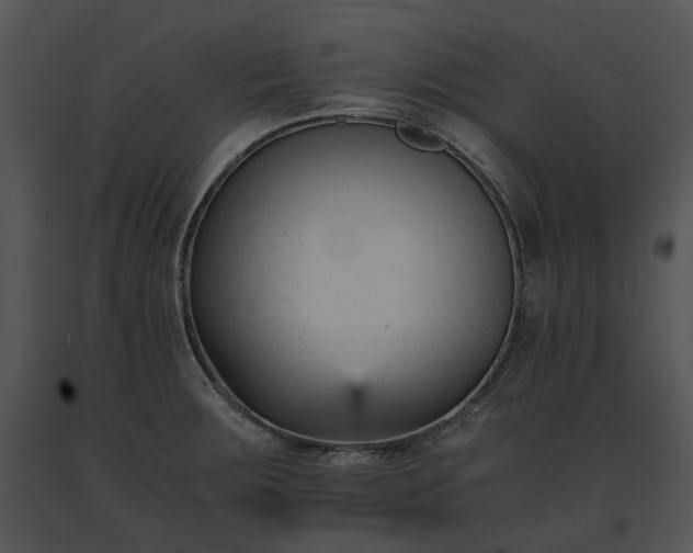 X0000091661283200708301431